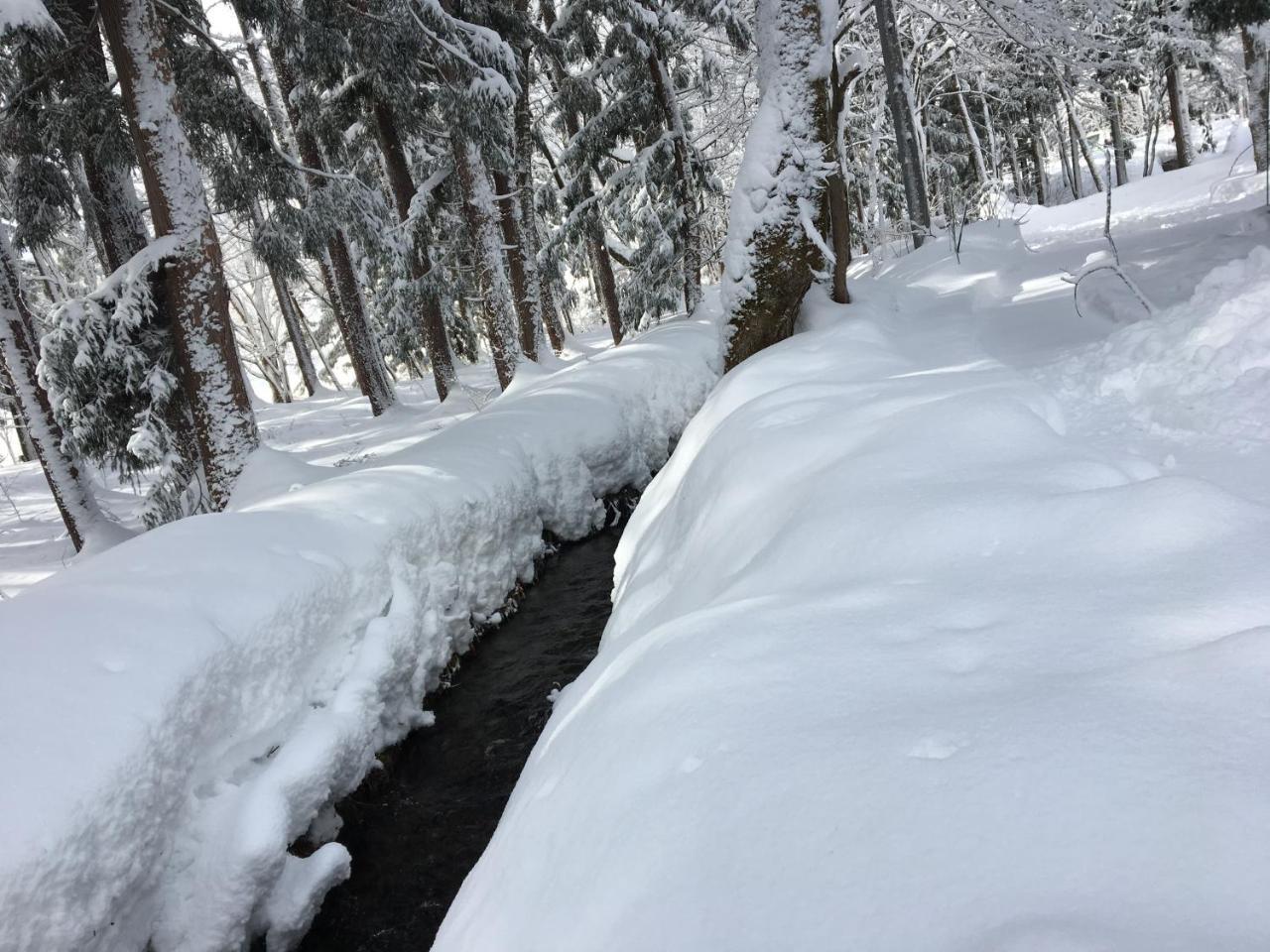 Hakuba Cottage Gram Exterior foto